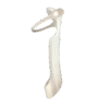 Braun Cruzer 5-6 Body Duş Askı Aparatı